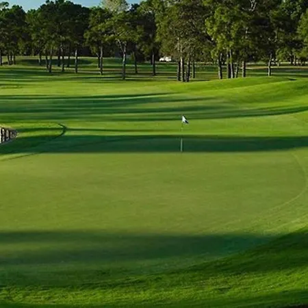 Timber Top Golf Course View The Woodlands Extérieur photo